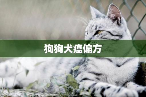狗狗犬瘟偏方