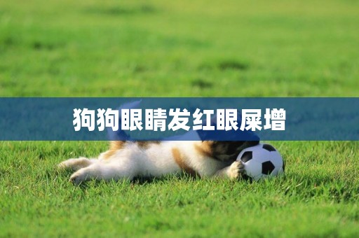 狗狗眼睛發紅眼屎增