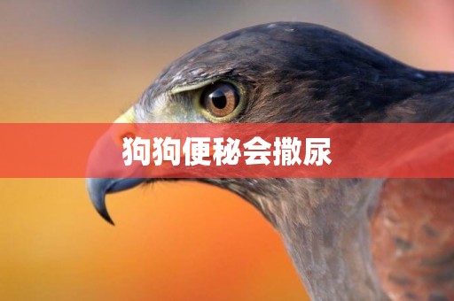 狗狗便秘會撒尿