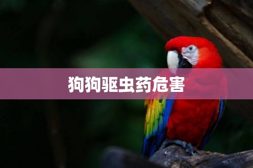 狗狗驅蟲藥危害