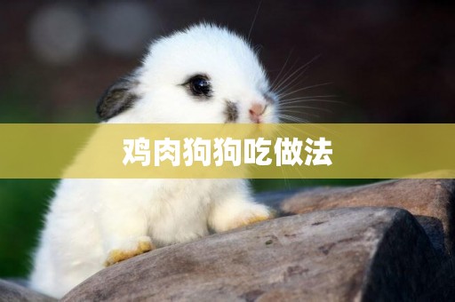 雞肉狗狗吃做法