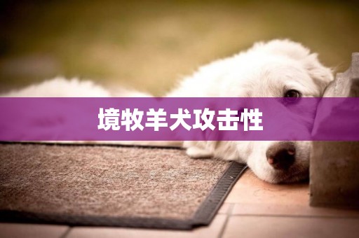 境牧羊犬攻擊性