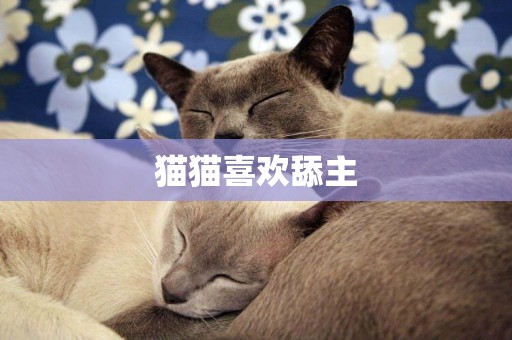 貓貓喜歡舔主