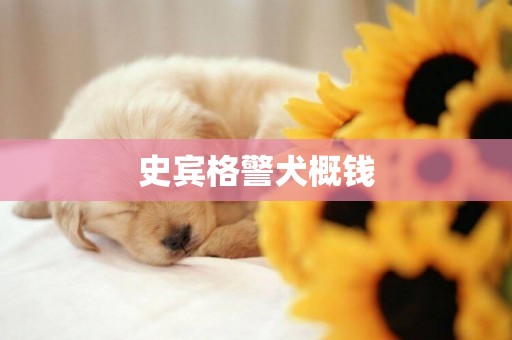 史賓格警犬概錢
