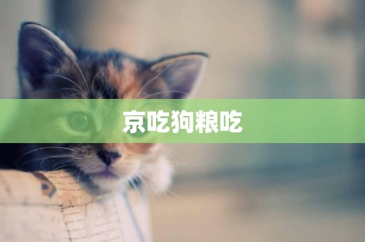 京吃狗糧吃