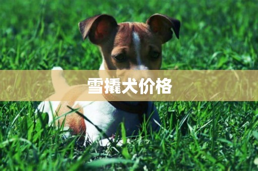 雪撬犬價格