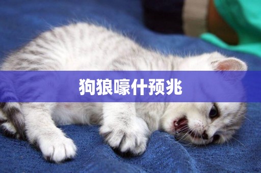 狗狼嚎什預兆