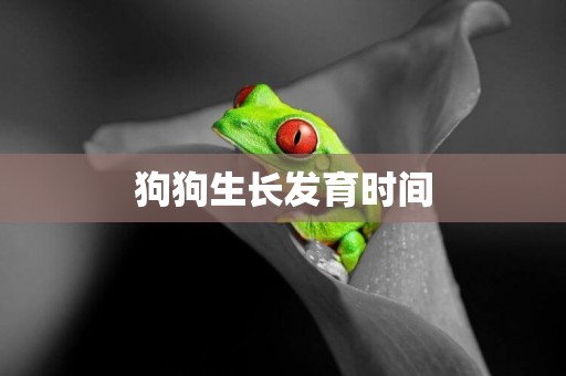 狗狗生長發育時間
