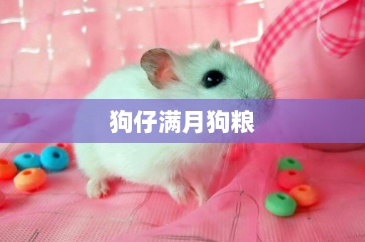 狗仔滿月狗糧