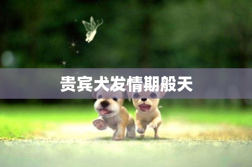 貴賓犬發情期般天