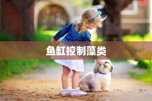 魚缸控制藻類