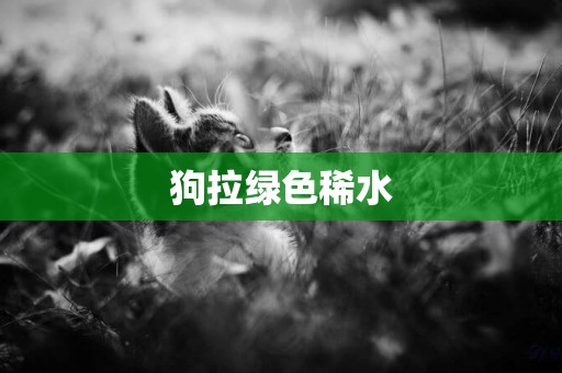 狗拉綠色稀水