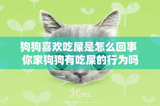 狗狗喜歡吃屎是怎么回事 你家狗狗有吃屎的行為嗎
