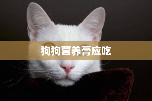 狗狗營養膏應吃