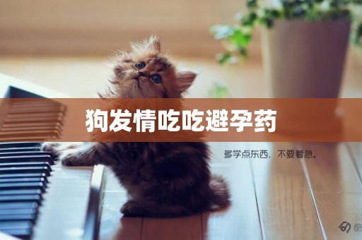 狗發情吃吃避孕藥
