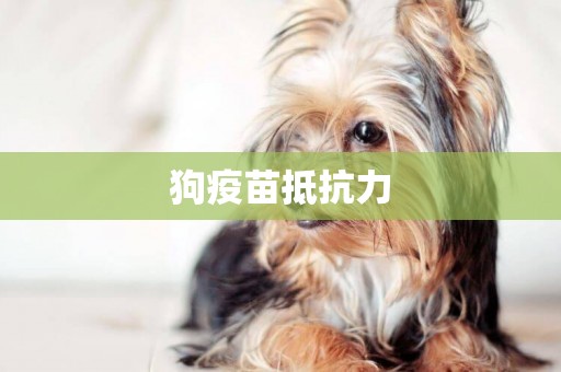狗疫苗抵抗力