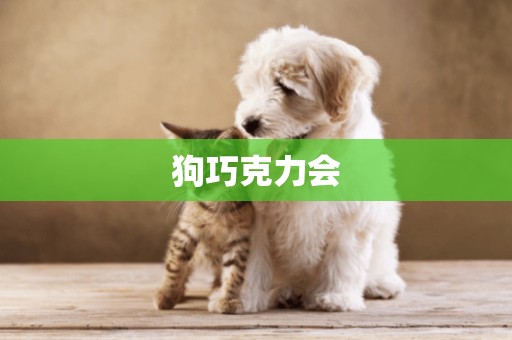 狗巧克力會