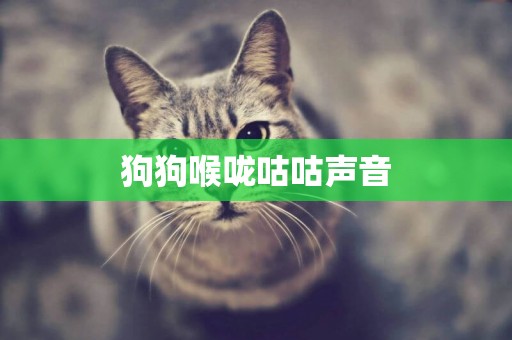 狗狗喉嚨咕咕聲音