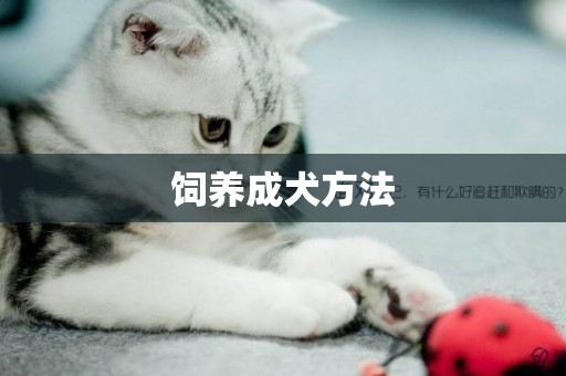 飼養成犬方法