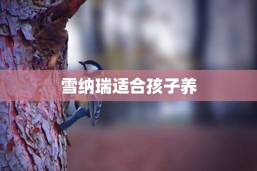 雪納瑞適合孩子養