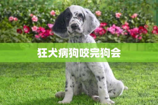 狂犬病狗咬完狗會