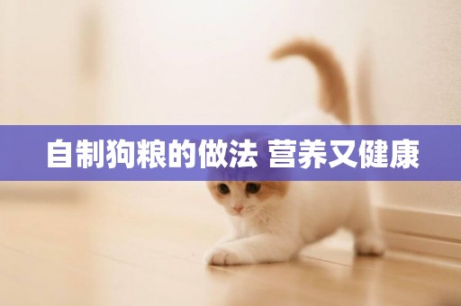 自制狗糧的做法 營養又健康