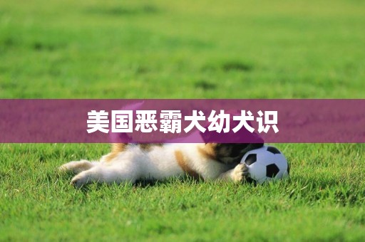 美國惡霸犬幼犬識