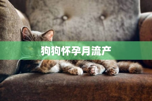 狗狗懷孕月流產