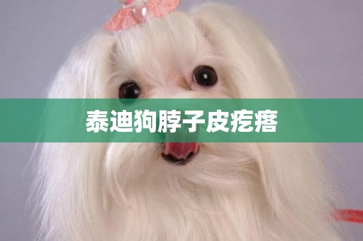 泰迪狗脖子皮疙瘩