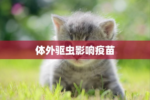 體外驅蟲影響疫苗