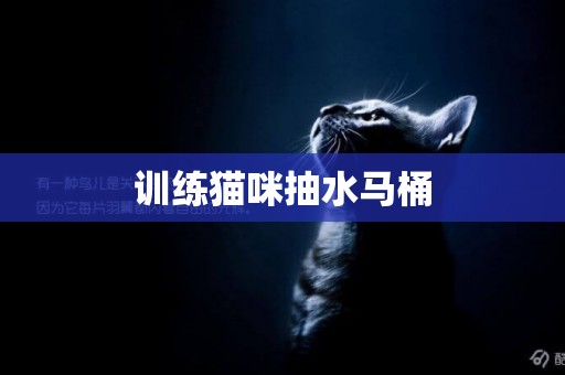 訓練貓咪抽水馬桶