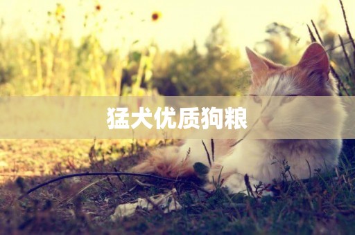 猛犬優質狗糧