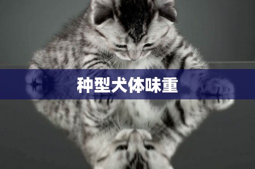 種型犬體味重