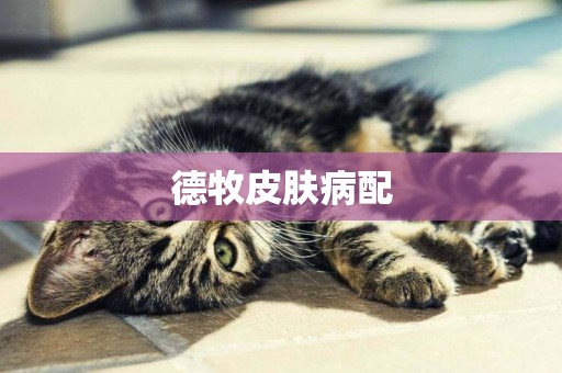 德牧皮膚病配