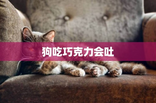 狗吃巧克力會吐