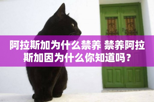 阿拉斯加為什么禁養 禁養阿拉斯加因為什么你知道嗎？