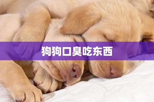 狗狗口臭吃東西