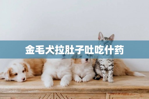金毛犬拉肚子吐吃什藥