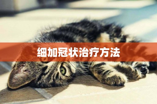 細加冠狀治療方法