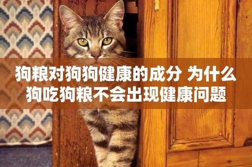 狗糧對狗狗健康的成分 為什么狗吃狗糧不會出現健康問題