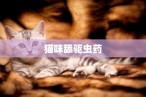貓咪舔驅蟲藥