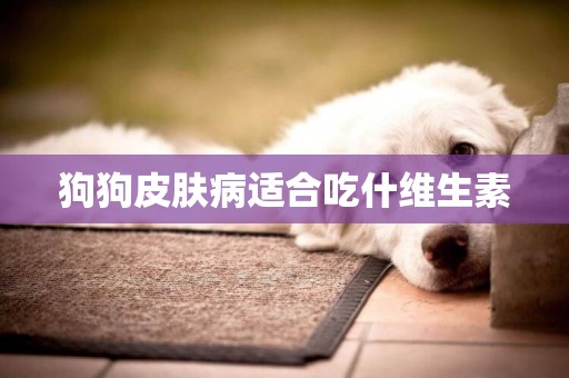 狗狗皮膚病適合吃什維生素