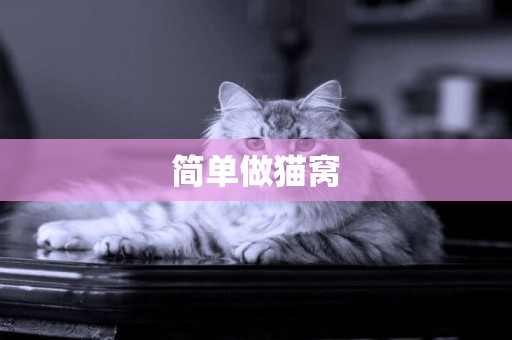 簡單做貓窩