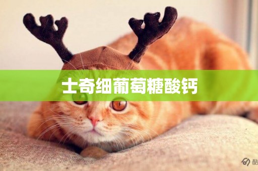 士奇細葡萄糖酸鈣