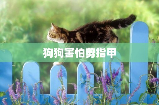 狗狗害怕剪指甲