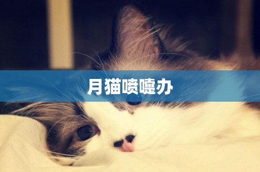 月貓噴嚏辦