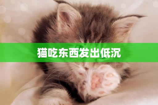 貓吃東西發出低沉
