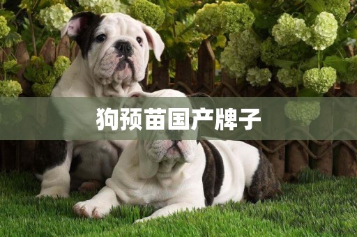 狗預苗國產牌子