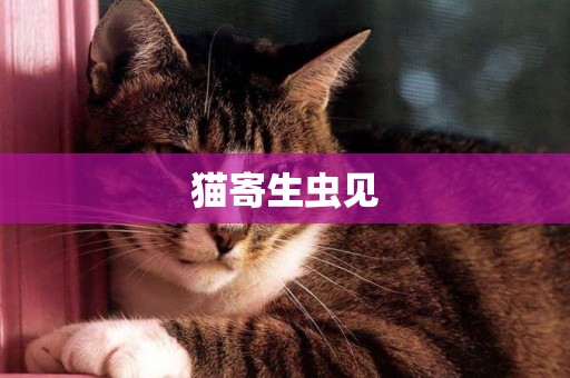 貓寄生蟲見