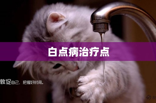 白點病治療點